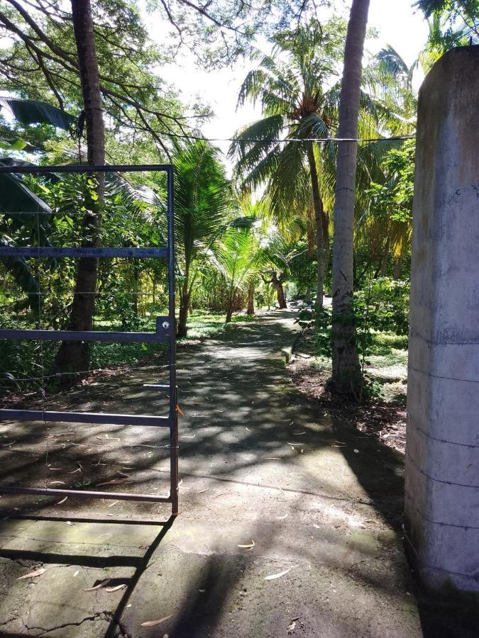 Rancho Tranquillo Hostel Moyogalpa Bagian luar foto