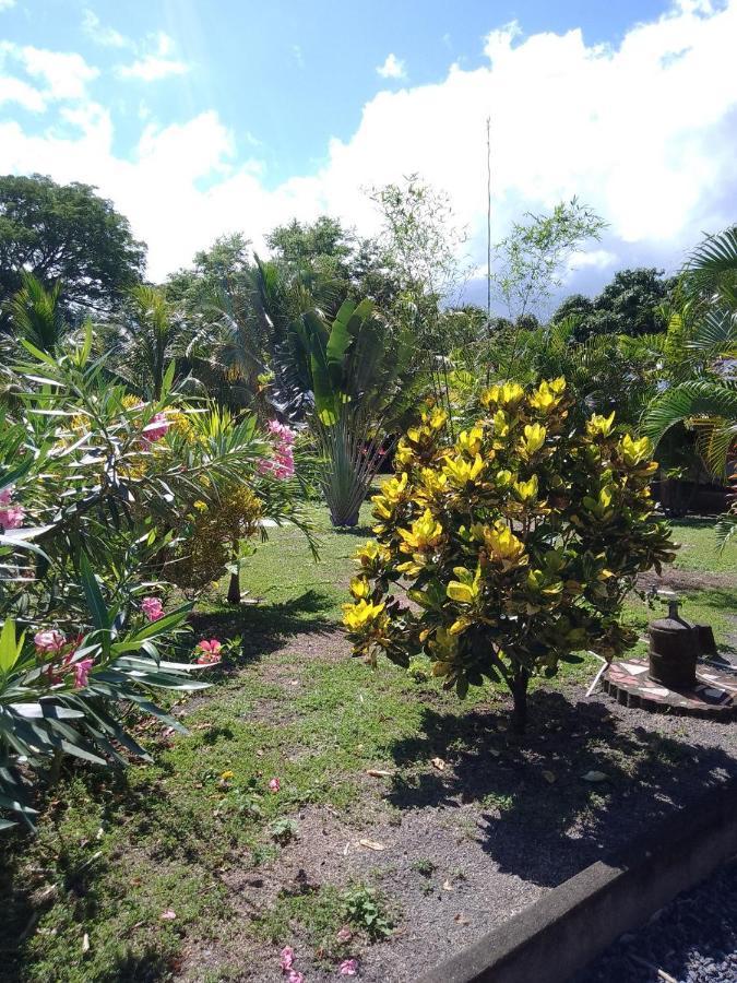 Rancho Tranquillo Hostel Moyogalpa Bagian luar foto