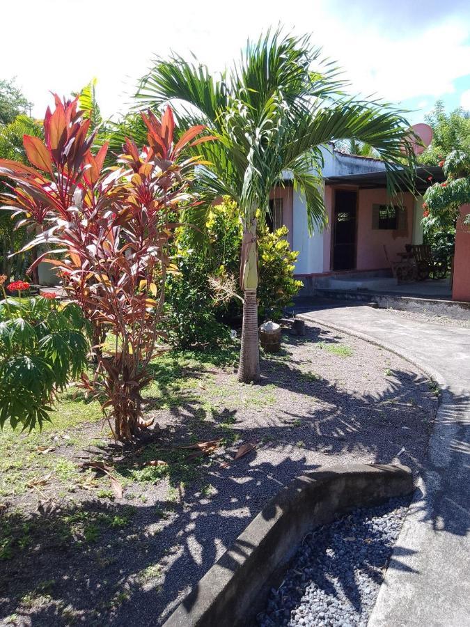 Rancho Tranquillo Hostel Moyogalpa Bagian luar foto