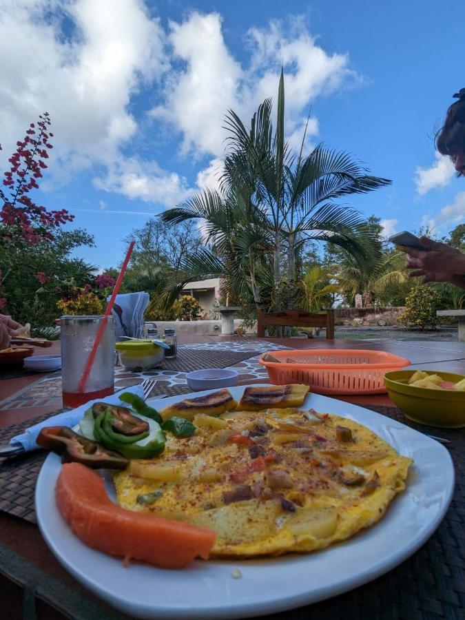 Rancho Tranquillo Hostel Moyogalpa Bagian luar foto
