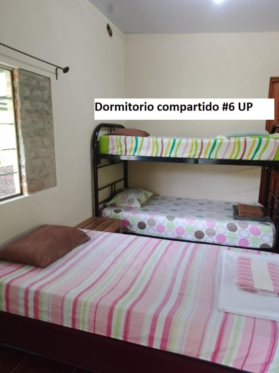 Rancho Tranquillo Hostel Moyogalpa Ruang foto