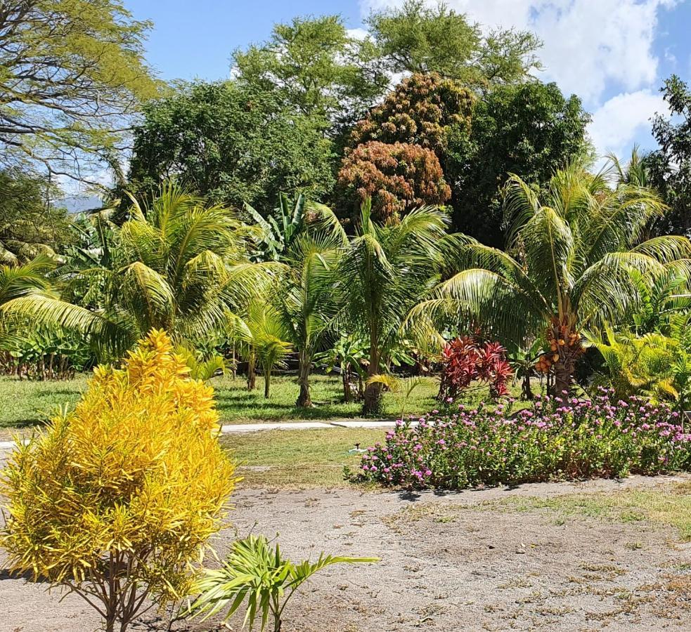 Rancho Tranquillo Hostel Moyogalpa Bagian luar foto