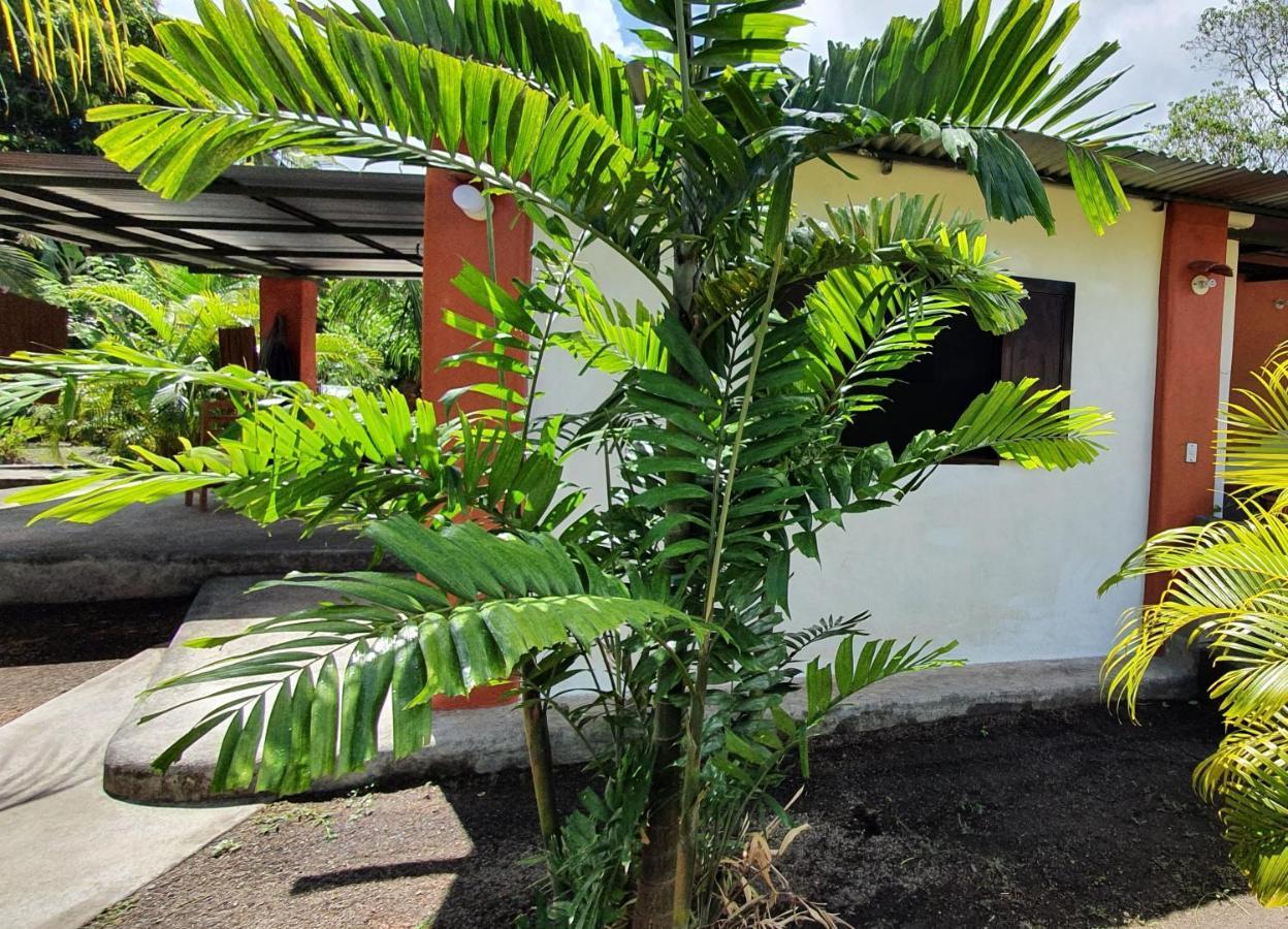 Rancho Tranquillo Hostel Moyogalpa Bagian luar foto